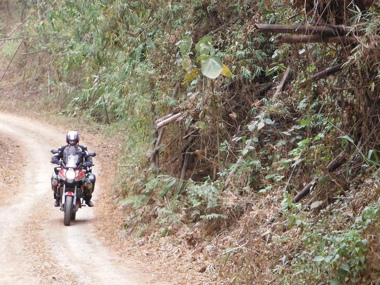 GT-Rider%20Fang%20Thailand%206.jpg