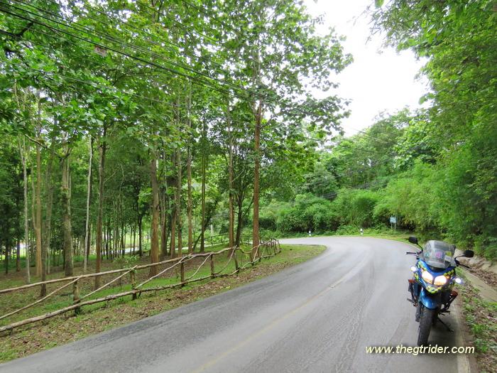 GTR%20-%20IMG_1552.jpg