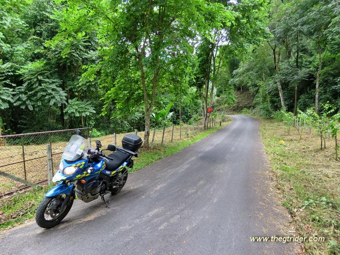 GTR%20-%20IMG_1609.jpg