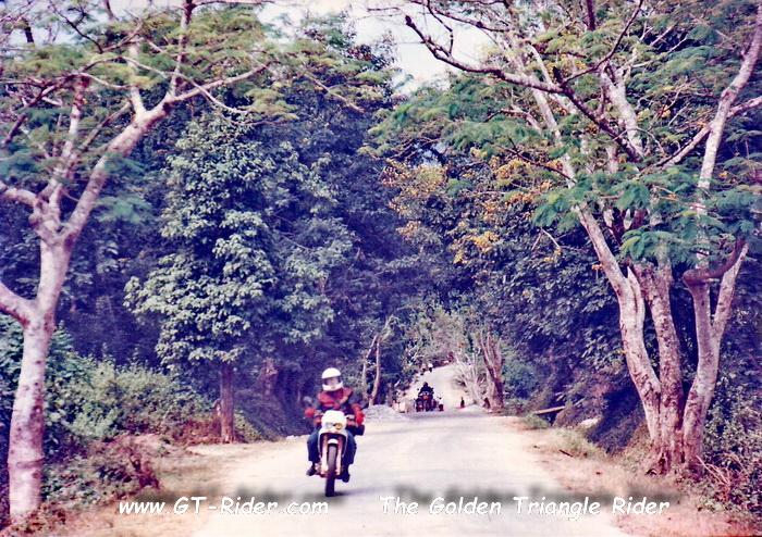 GTR-Cnx-Jinhong-95-74.jpg