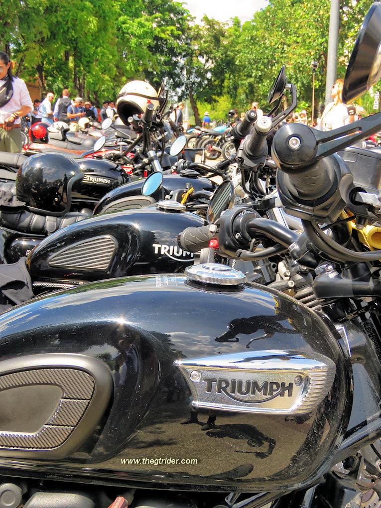 GTR-DGR-2017-_10.JPG