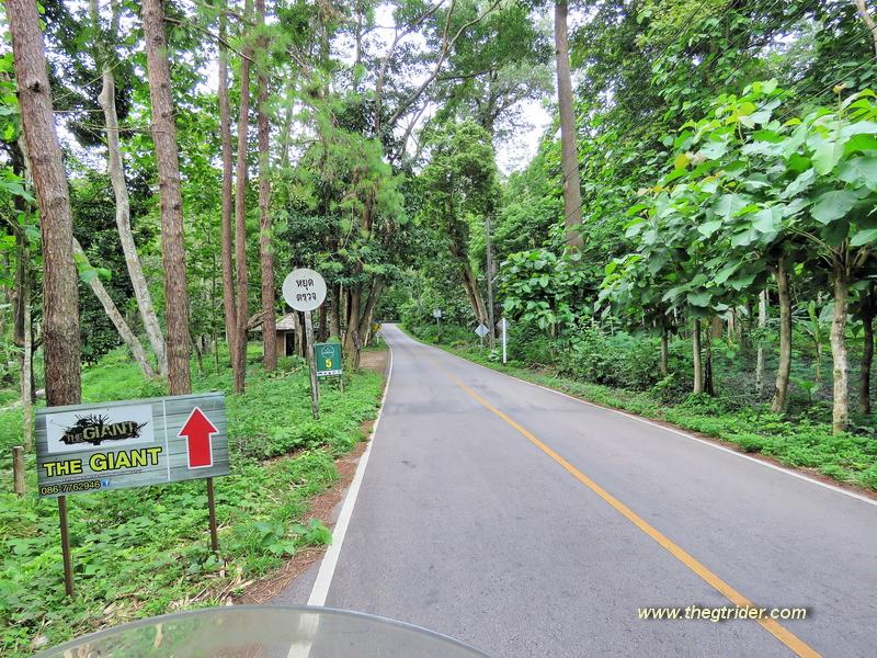 GTR - IMG_1675.JPG