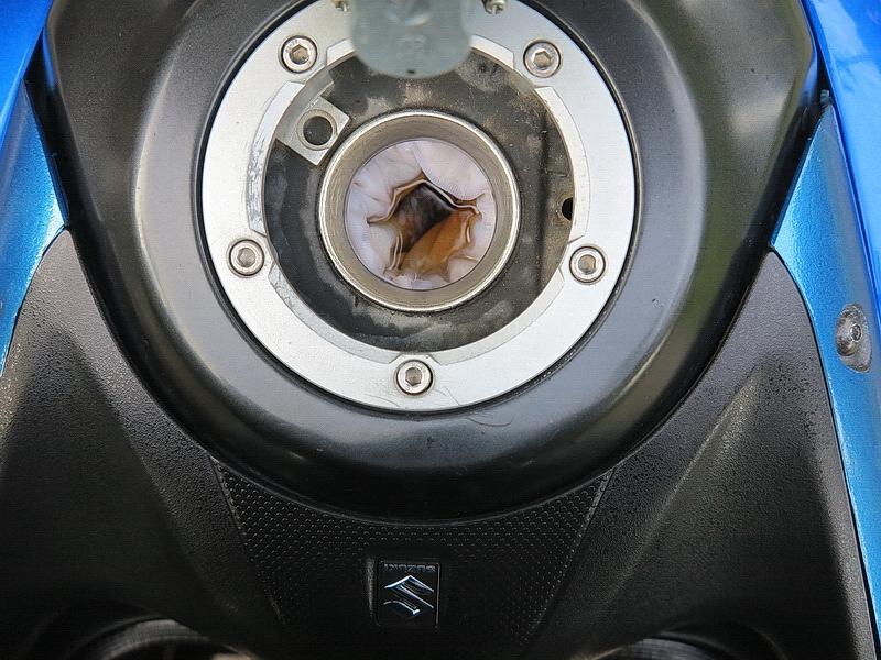 GTR - IMG_1718.JPG