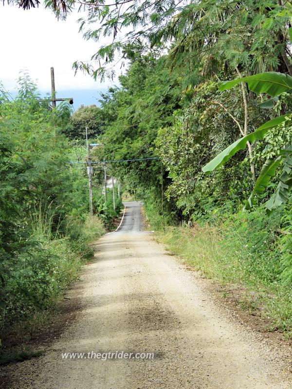 GTR - IMG_4333.JPG