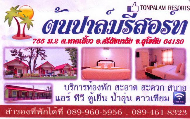 gtr-tonpalm-jpg.jpg