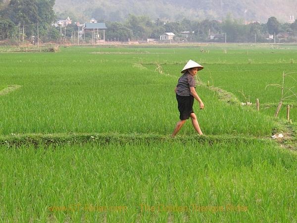 hanoi-mai-chau-048.jpg