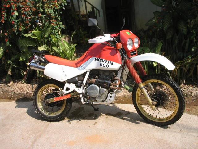 HondaXL600.jpg