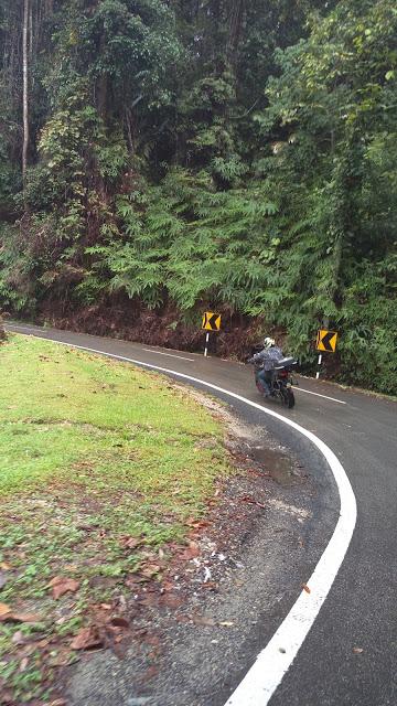IMAG0970.jpg