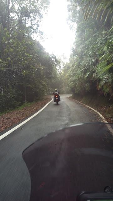 IMAG0974.jpg