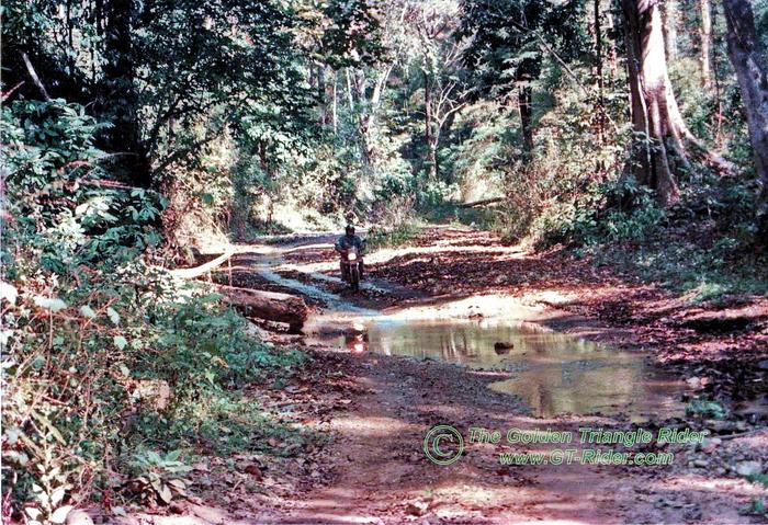 Image-08-X2.jpg