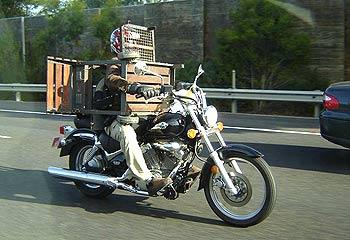 image.php?&aid=1455&bbq-kiwi-bike.jpg