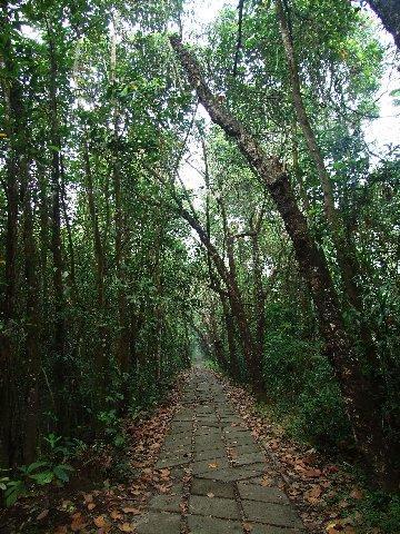 image041.jpg