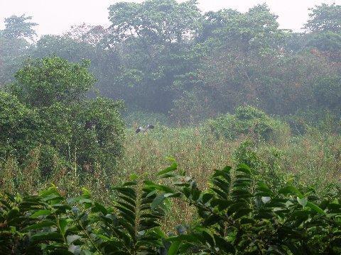 image045.jpg
