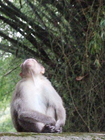 image063.jpg