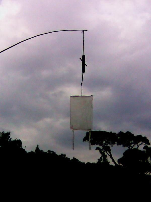 Image101.jpg