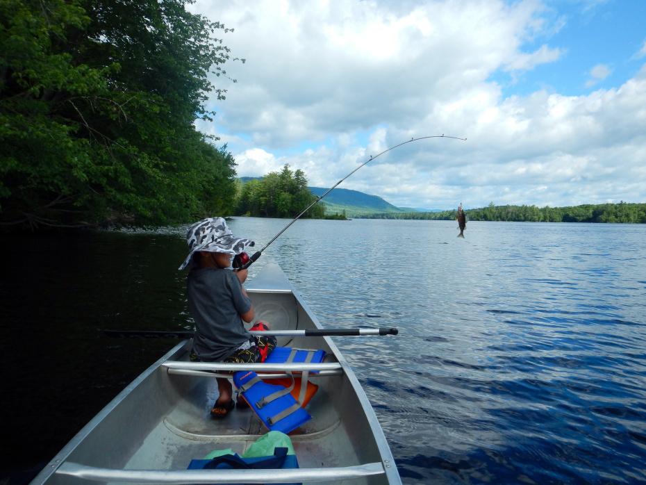 image12.jpg