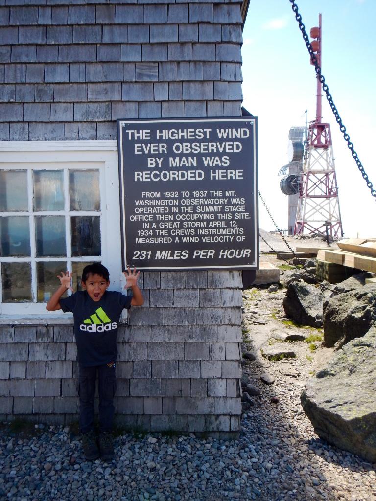 image125.jpg