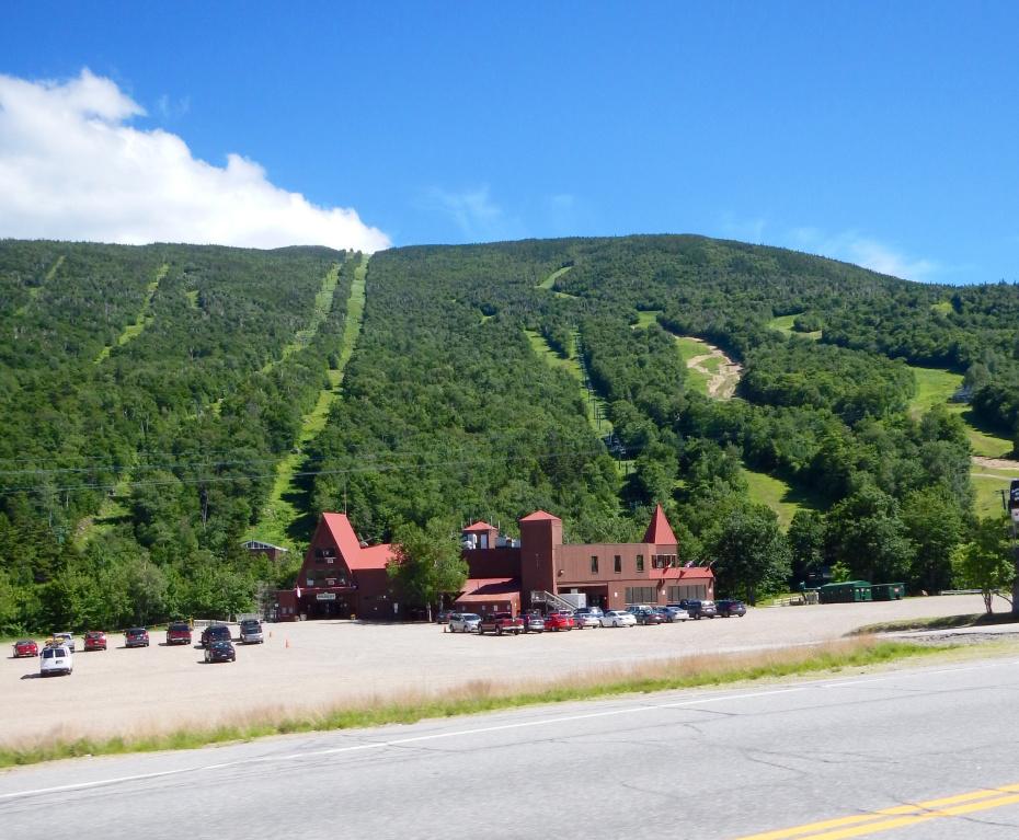 image13.jpg