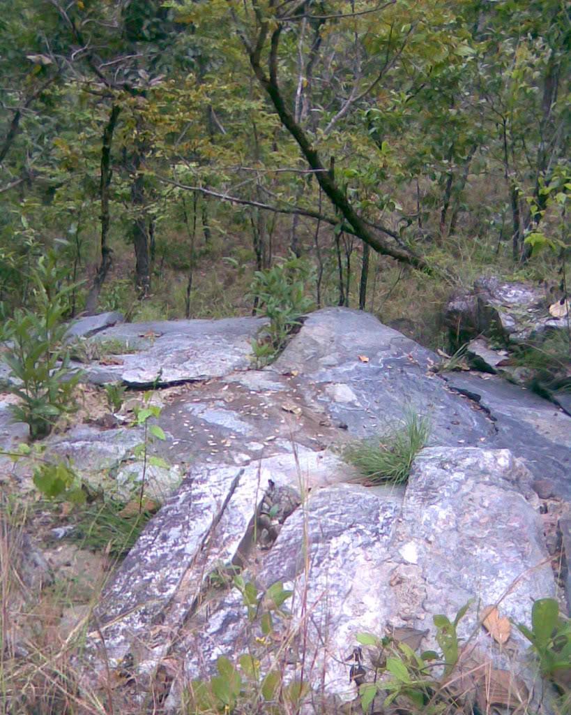 Image131.jpg