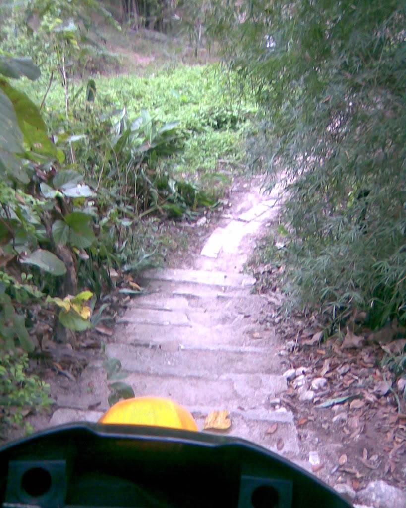 Image135.jpg