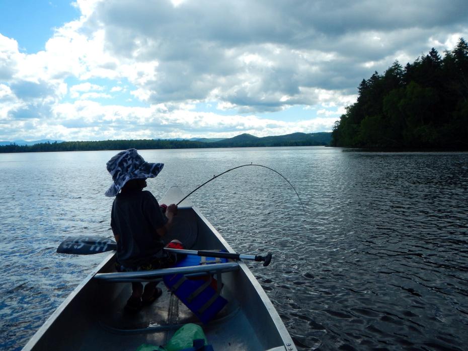 image15.jpg