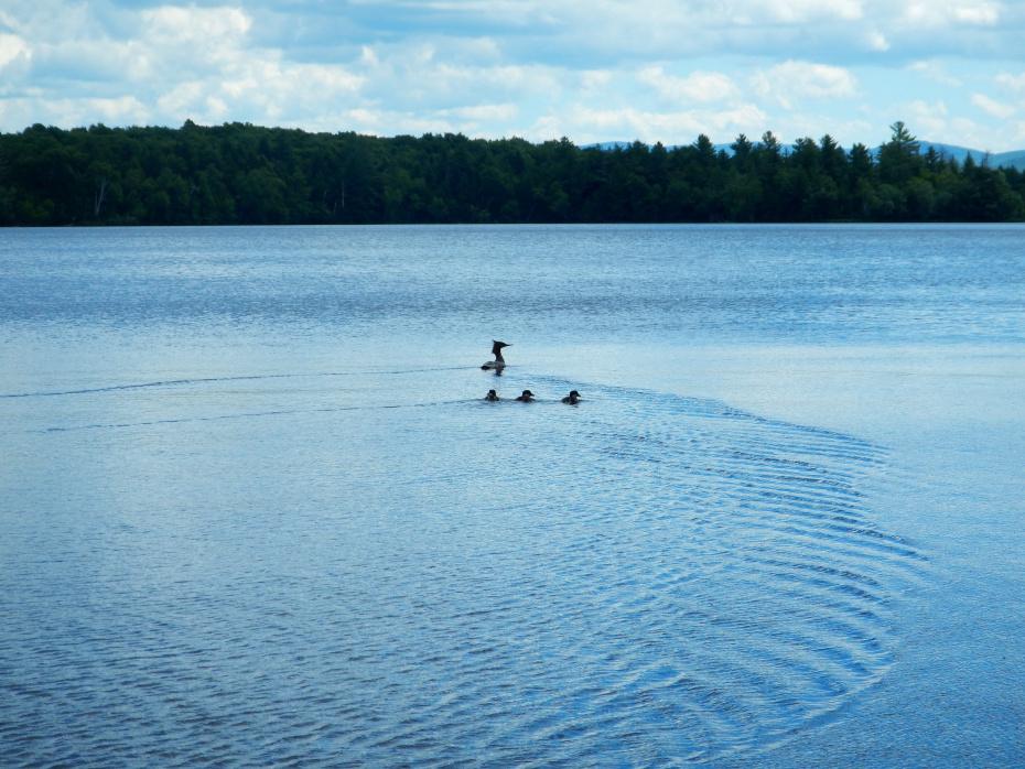 image24.jpg
