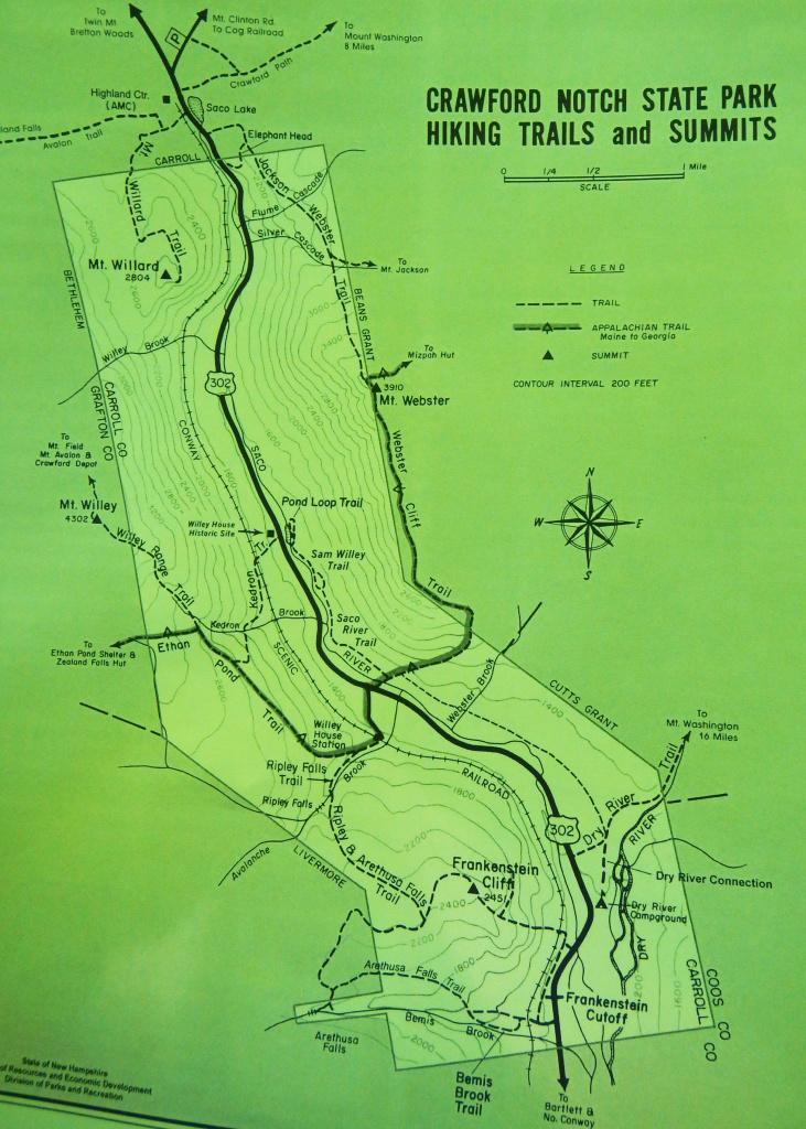 image36.jpg