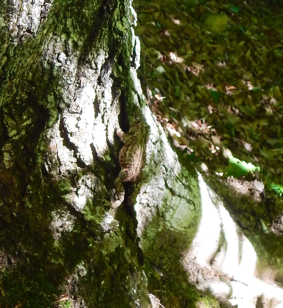 image42.jpg