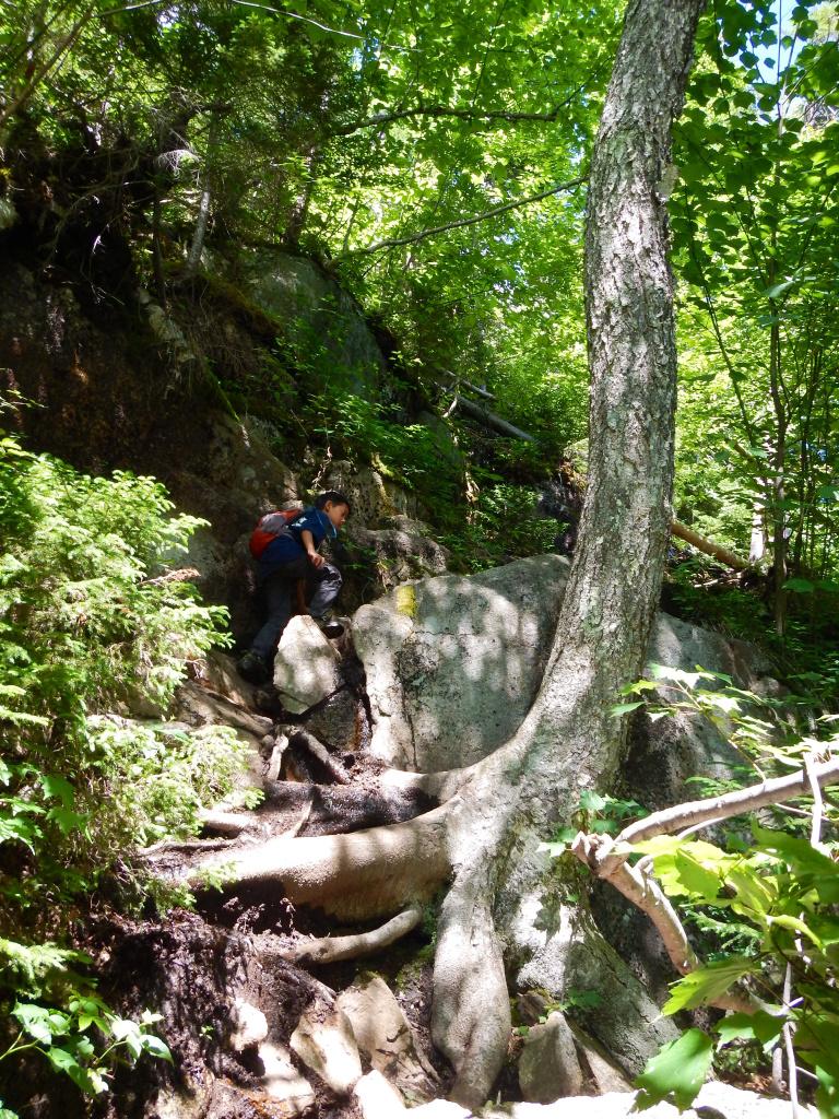 image47.jpg