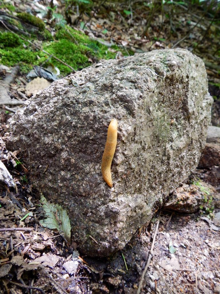 image53.jpg
