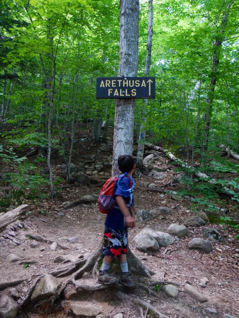 image72.jpg