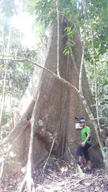 IMG-20160814-WA0044.jpg