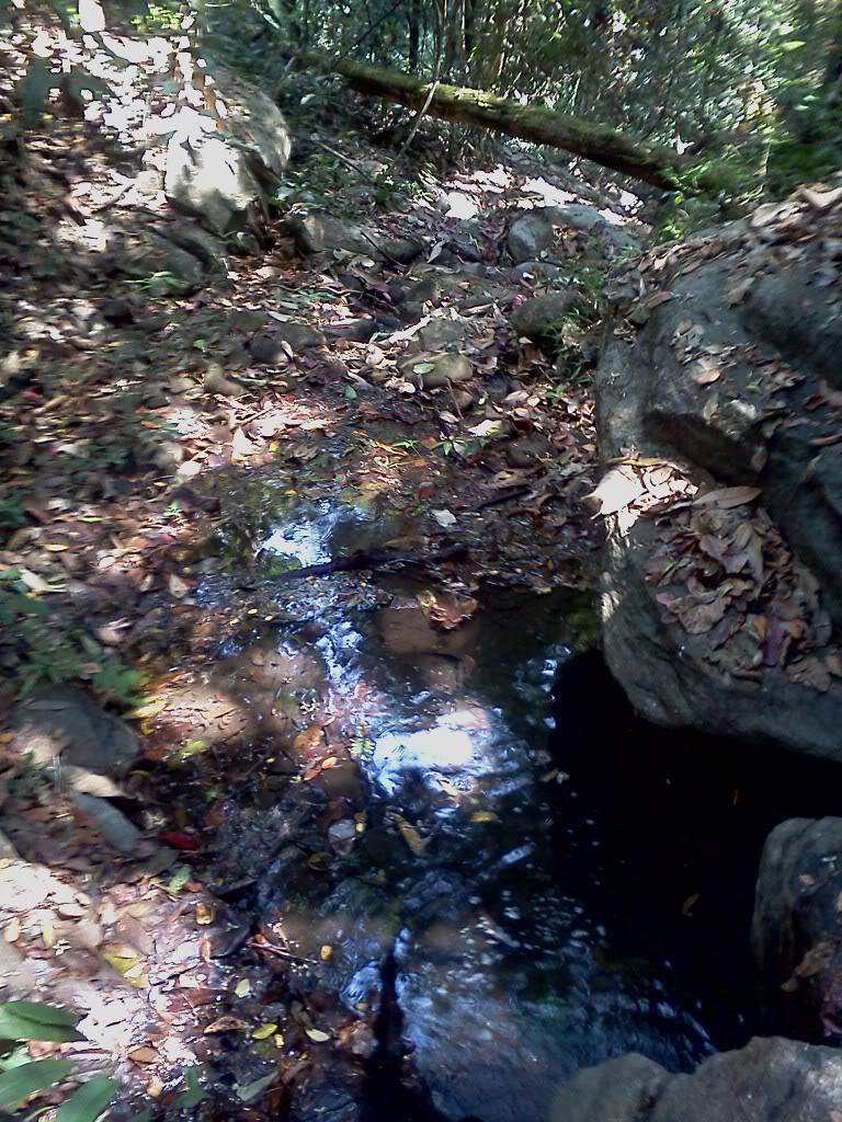 IMG1058.jpg