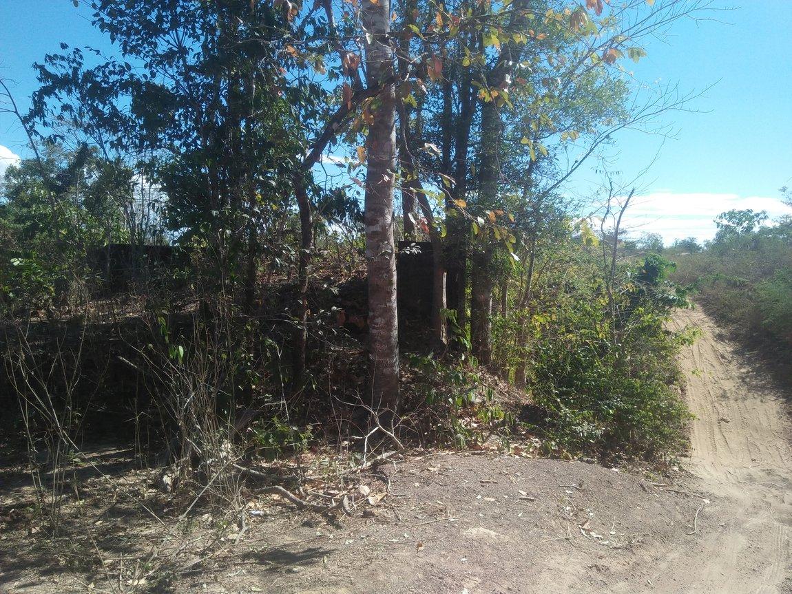 IMG20190106130026.jpg