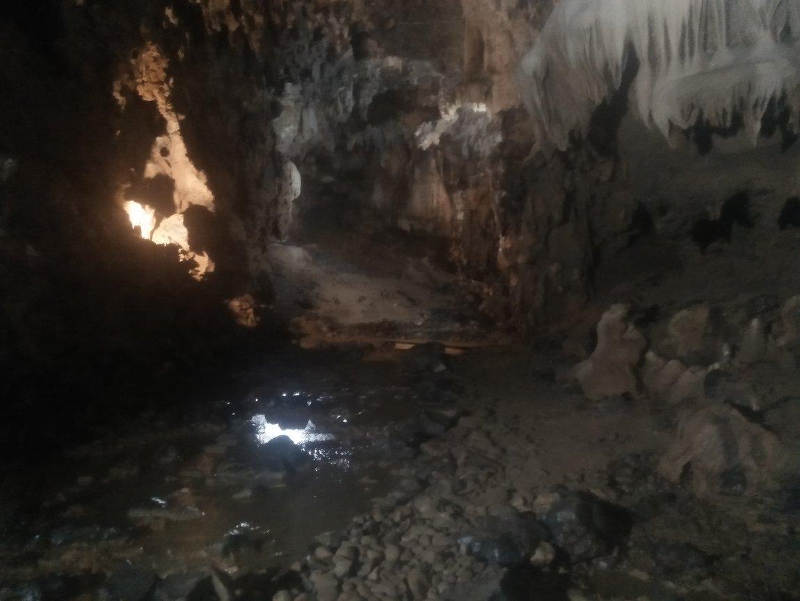 IMG20190107110054.jpg