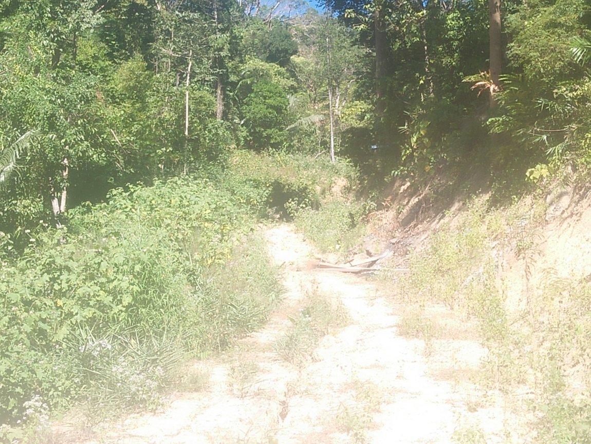 IMG20190107111919.jpg