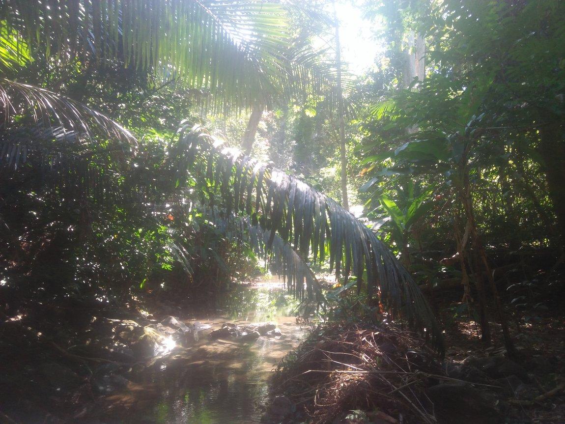IMG20190107113011.jpg