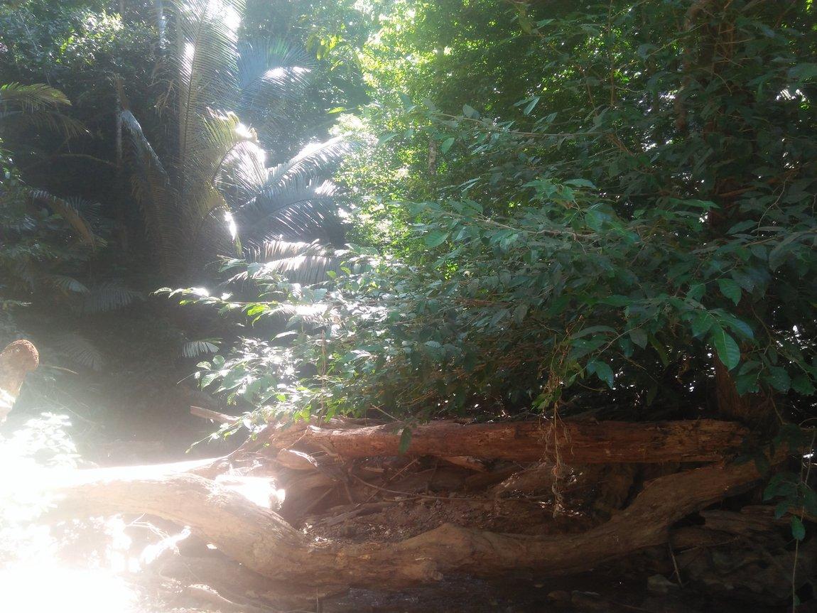 IMG20190107113422.jpg