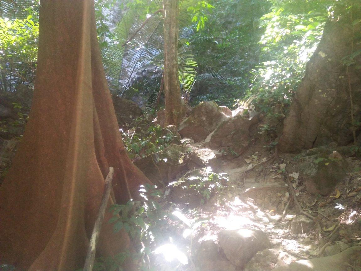 IMG20190107113612.jpg