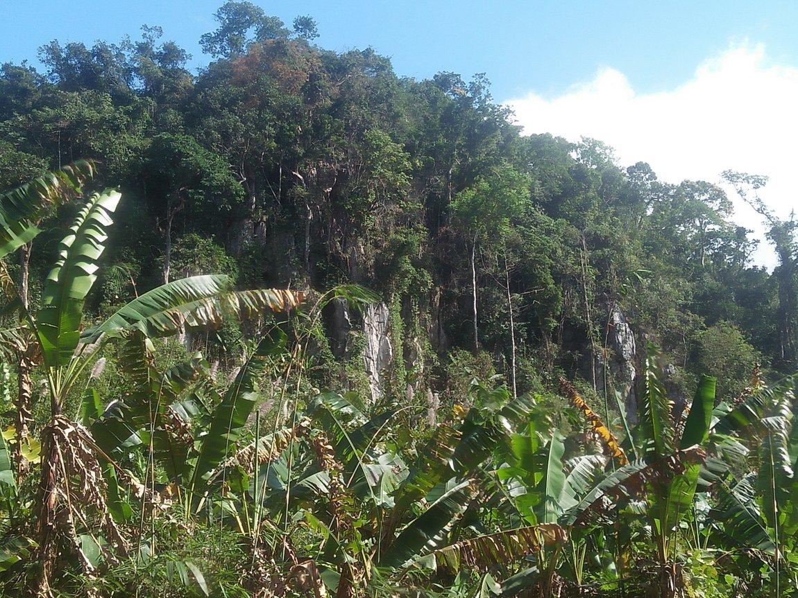 IMG20190111135621.jpg