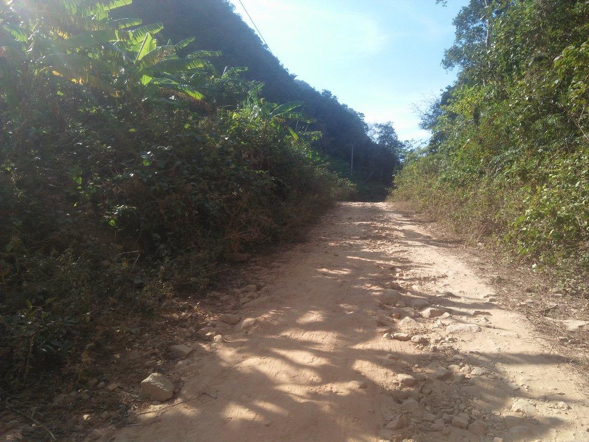 IMG20190111144613.jpg