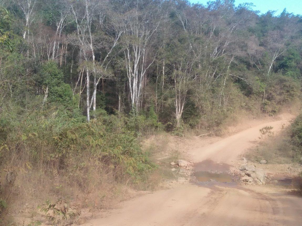 IMG20190112090635.jpg
