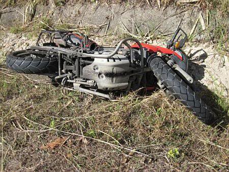 IMG_0011_520x390_450x338.jpg