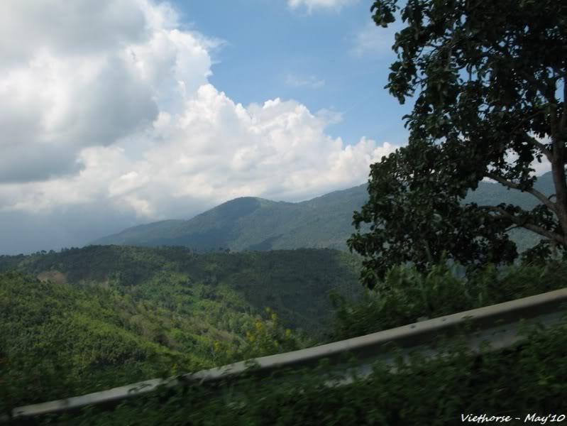 IMG_0090_GF.jpg