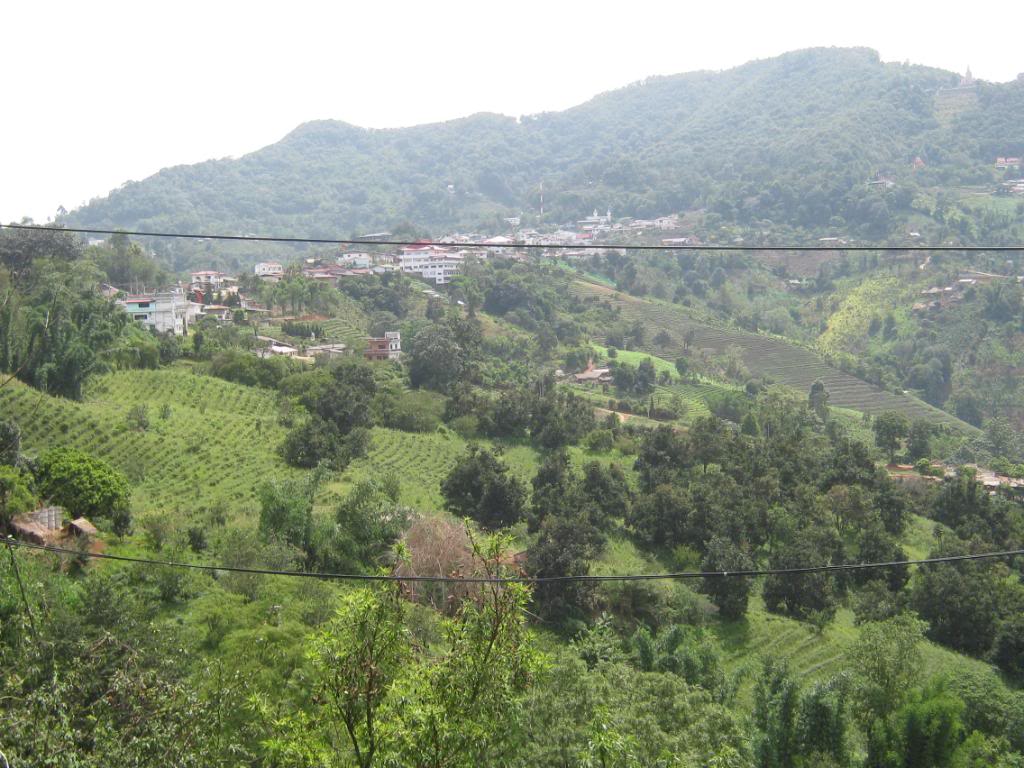 IMG_0271.jpg