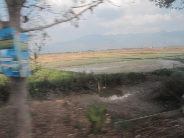 IMG_0701.jpg