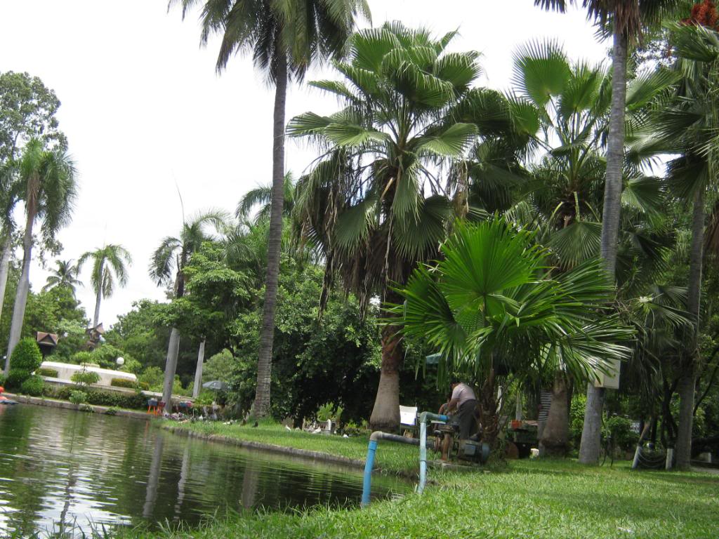 IMG_0707.jpg