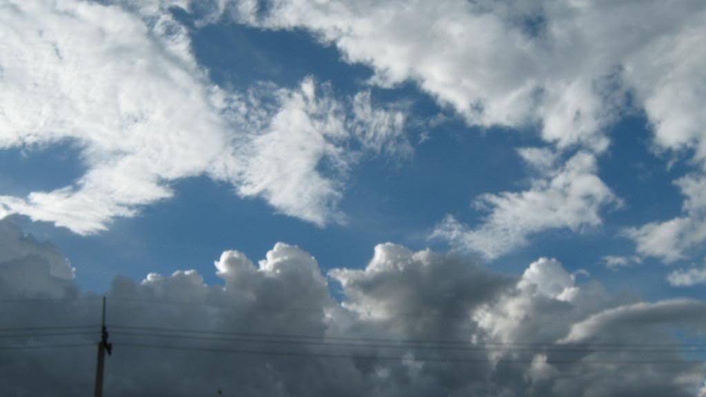 IMG_0741.jpg