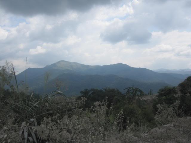 IMG_0771.jpg