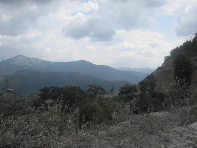 IMG_0772.jpg